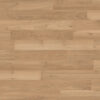 Akác Cornsilk - 35063 - Image 2